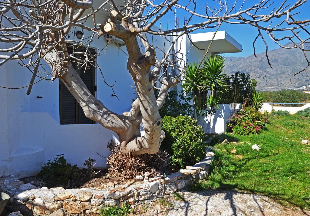 Orthi Ammos Hotel Frangocastelo Exterior photo